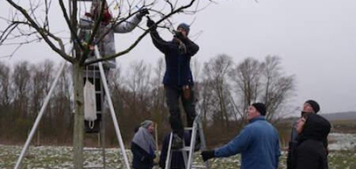 Pruning course on the 50Hertz discovery meadow in Tasdorf on 03 November 2019