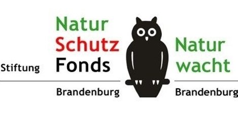 Brandenburger Naturschutzpreis 2024: Einsendungen bis zum 30. April möglich!