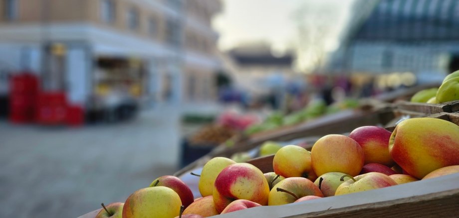 Übersicht der Stände zum Wochenmarkt am 30.4.2024